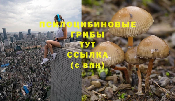 герыч Абинск